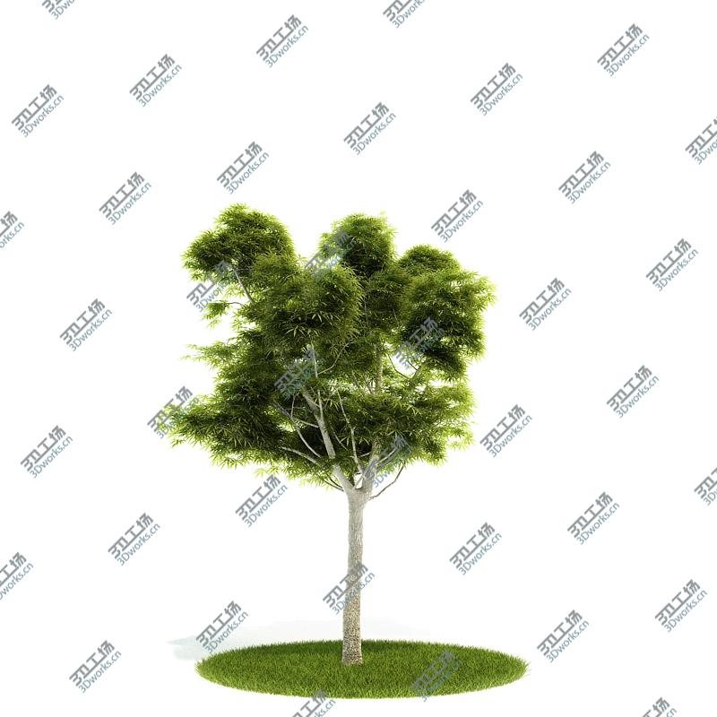 images/goods_img/2021040163/Archmodels vol. 52/5.jpg